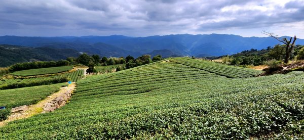 石碇皇帝殿（西峰，東峰），天王峰，坪林獅公髻尾山，文山指南宮千階步道（竹柏參道），十六分山，貓空尖1971332