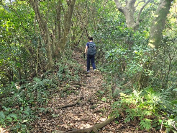 20230819觀音山十九連峰8字縱走2255096