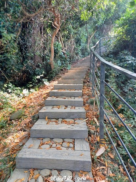 【雲林林內】台灣百大必訪步道。 龍過脈森林步道1952036