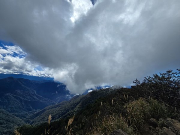加里山（大坪登山口大O繞）2955458