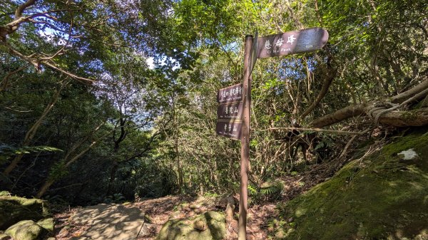 115.07.26孝子山-慈母峰-嶺腳瀑布-望谷瀑布之旅3091131