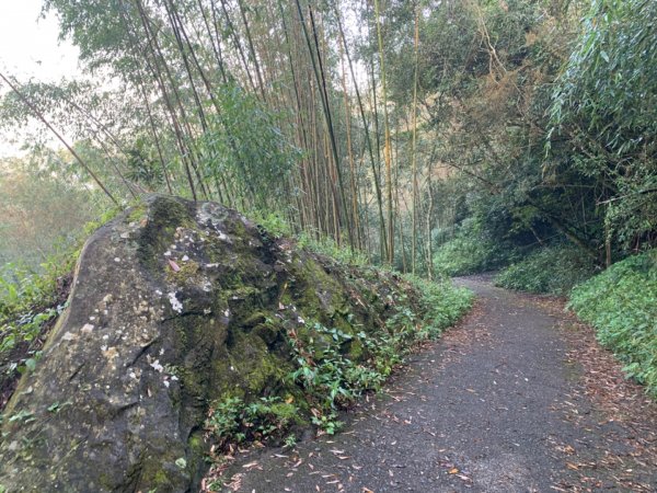 大凍山（小百岳）1117320