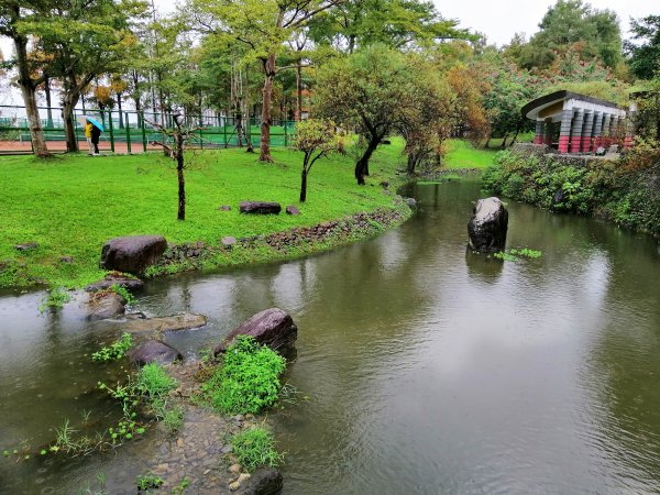 【宜蘭。羅東】綠意盎然~羅東運動公園768319