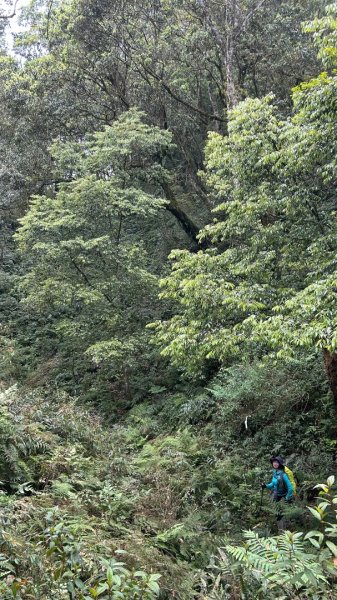 大同九分山/九份山3027613