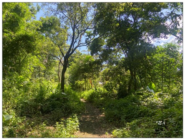 山子頂山 (桃園、龜山)2826850