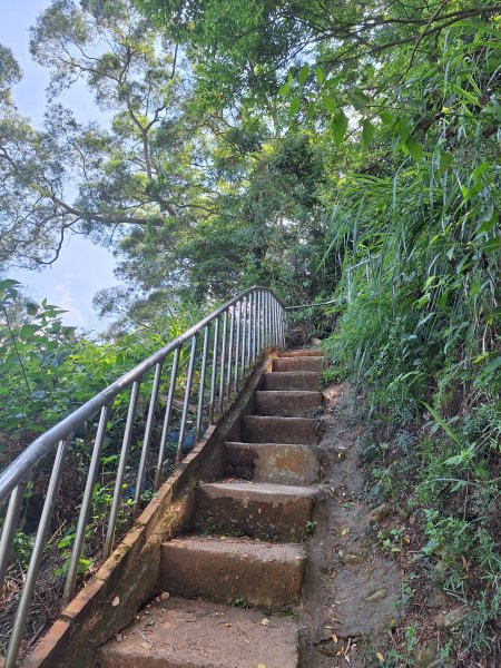 田中森林登山步道＋茶香步道＋赤水崎公園步道202508172862082