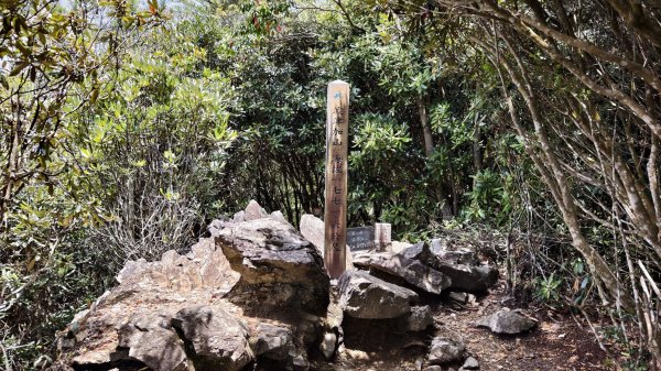 【谷關七雄】波津加接大雪山 - 越過陡坡，自見高峰3094112