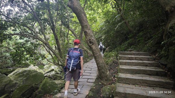 20251109 士林站到大湖站(福山宮_腰繞_燕溪古道_翠山步道_龍船岩_大溝溪)2932373