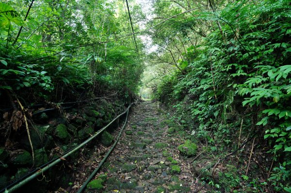 新北 三峽 白雞山、雞罩山2551202