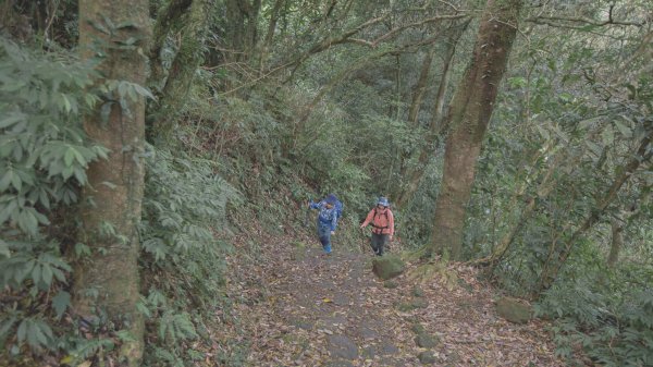 雨鞋登山初體驗-大屯山南峰、大屯山西峰連走1647917