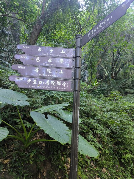 20251010微笑山線：【五分山系】平溪小黃山段 - 健行筆記2910178