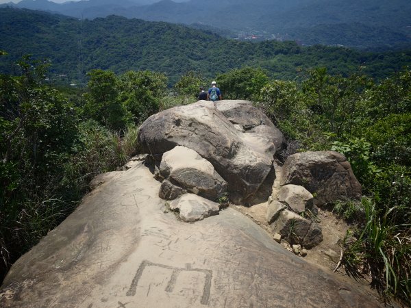 [淡蘭古道] 2026_0523 南路第一段_拇指山3069580