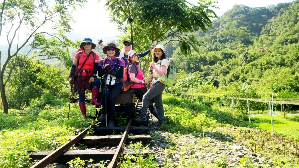 【淡蘭中路】翻山越嶺的茶商之道981238