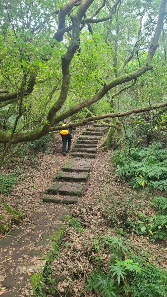 2026-0116 大屯三山_貴子坑_北投2984719