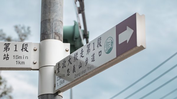 台北大縱走第一段：台北藝術大學-二子坪（緩步爬升的生態步道）1713865