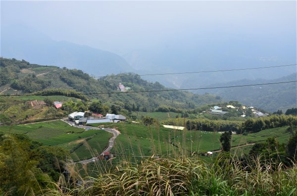 後棟仔山 & 雲嘉大尖山1378307
