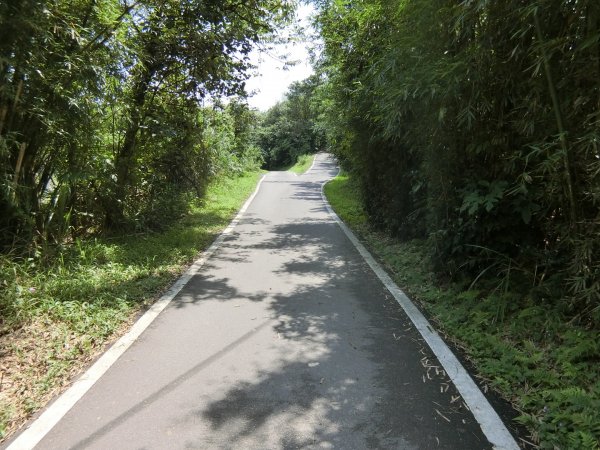 草嶺古道（福隆到大里）960303