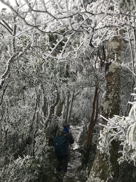 美呆了~雪白內鳥嘴山1253336