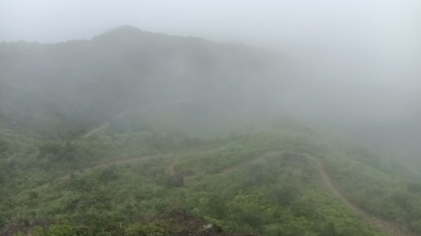 瑞芳區金瓜石地質公園-大粗坑古道(大粗坑山+小金瓜露頭)-樹梅坪-百二崁古道-金瓜石地質公園步道O型3055297