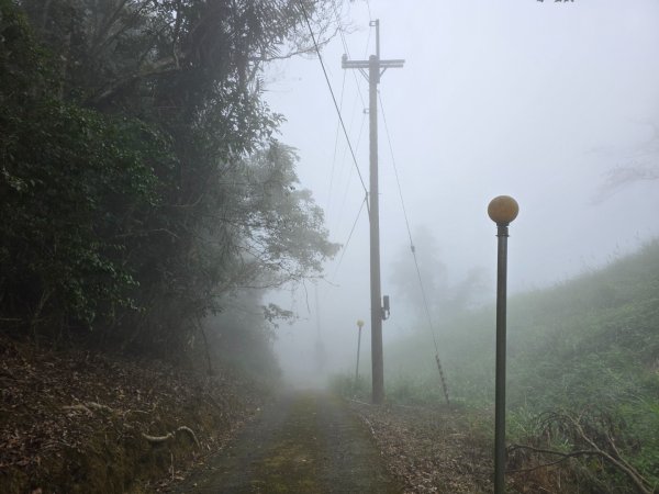 馬那邦山之雲海／雲瀑／楓紅／太陽琉璃光2668317