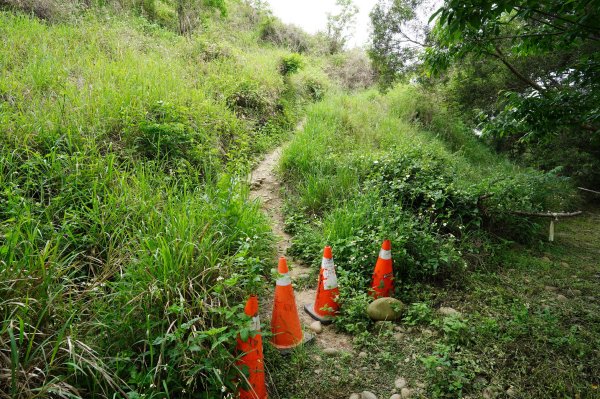 臺中 龍井 竹坑山2767043