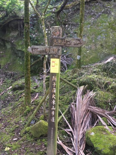 20181026-大凍山初登444940