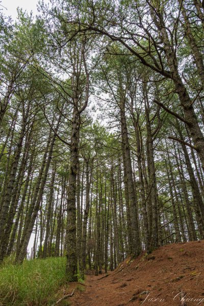 [百岳]南湖群峰3133420