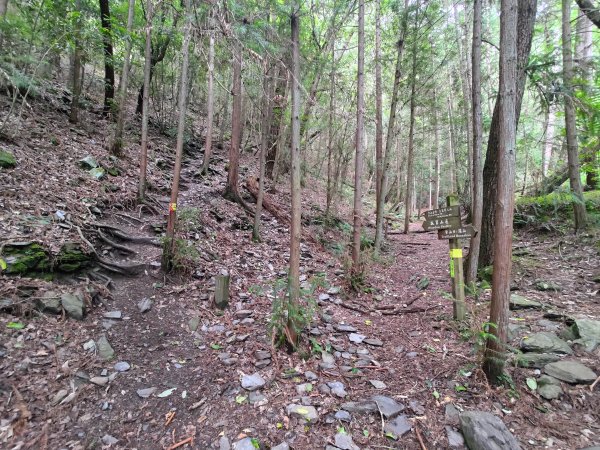 志佳陽大山登山步道2520078