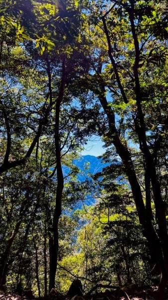 🌈9/21（日）屋東縱走（大雪山進-谷關大道院出）✨FB：熊熊趴爬走 🌈2892508