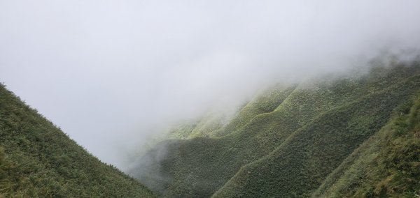 2021-09/19-宜蘭礁溪- 抹茶山三角崙山1466436