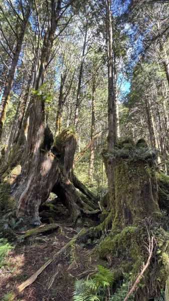 20250913小百岳三星山2885237
