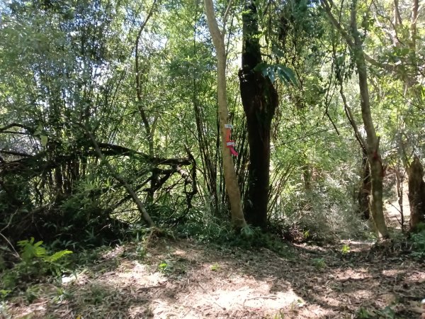 基隆市外西勢坑山+暖暖砲台+福基煤礦遺址O型2907987