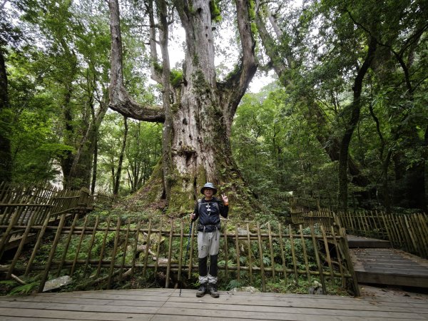 2025_0524 司馬庫斯神木群步道封面