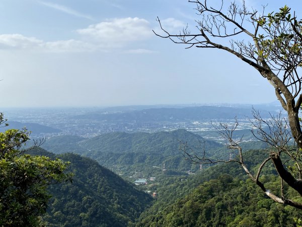 白雞山-雞罩山前鋒-雞罩山916283