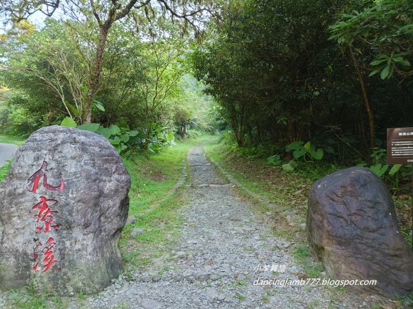 【宜蘭】九寮溪自然步道：炎夏中的沁涼1818426