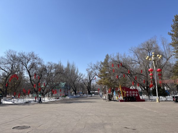 2025_0302 烏魯木齊快閃 - D3b 南公園2728127