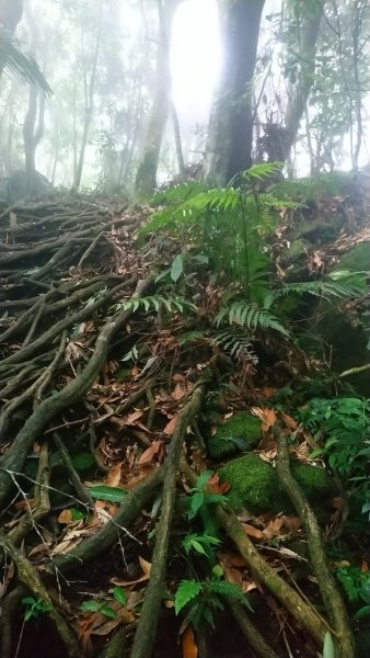 三角湖山、向天湖山縱走1717693