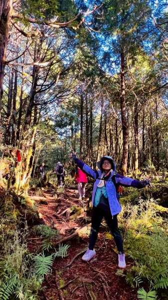 🌈11/29(六)-30(日)空靈系秘境~太平山-三星山(小百岳)⛰️+三星池~🌈2952236