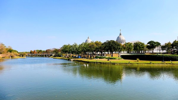 琴弦上的白宮2987569