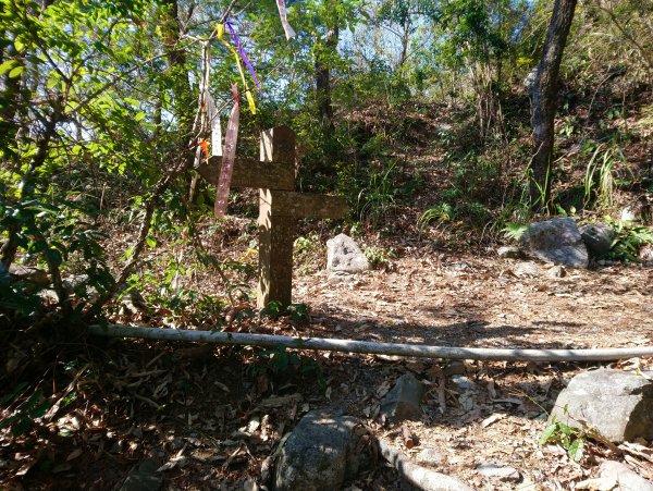 屋我尾山(麗陽線)821151