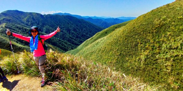 走聖母與三角崙山步道 再探神級抹茶山698597