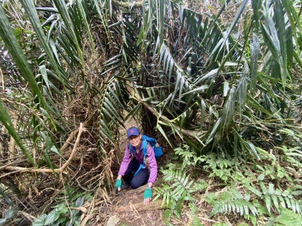 坐公車接駁的神仙縱走2707456