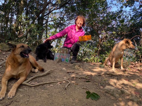 苗栗金童山、玉女山、汶水山2672900