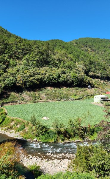 【中級山】馬武霸山，實至名歸的百岳觀景台2937757