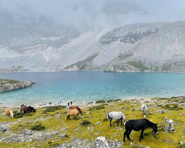 西藏♥️可愛動物🐎人物寫真/拉薩旅拍/美食2902954
