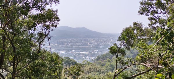 2026/03/08-毘盧禪寺步道+七星崗3013882