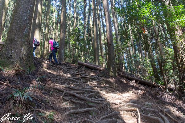 2018.3.30 加里山303497