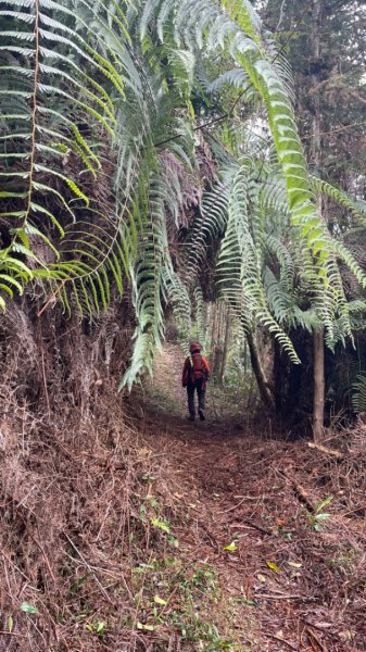 過坑山快閃2685071