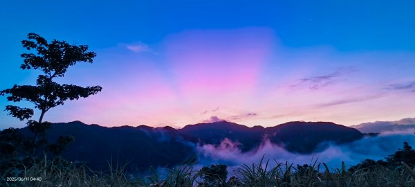 跟著雲海達人山友追雲趣 #草莓月亮 #月圓雲海 #霞光 #日出雲海 #茶園 6/112808827