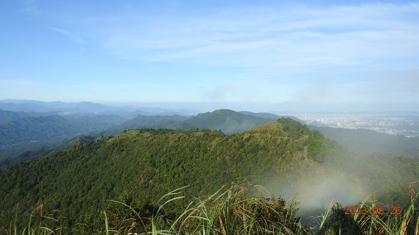 五分山雲霧飄渺首遇觀音圈/眺望基隆山/基隆嶼/基隆港夜景&平溪 #艷紅鹿子百合 #金花石蒜2262522